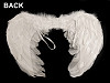 Anjelské krídla 30x40 cm