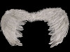 Anjelské krídla 35x45 cm