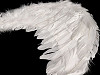 Anielskie skrzydła 35x45cm 2.jakość