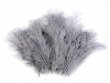 Ostrich Feathers length 9-16 cm