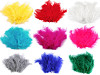 Ostrich Feathers length 9-16 cm