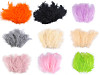 Ostrich Feathers length 9-16 cm