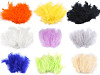 Ostrich Feathers length 9-16 cm