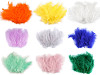 Ostrich Feathers length 9-16 cm