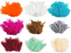 Plumas de avestruz largo 9-16 cm