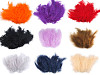 Ostrich Feathers length 9-16 cm