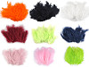Piume di struzzo, lunghezza: 9-16 cm
