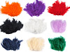 Plumas de avestruz largo 9-16 cm