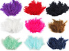 Piume di struzzo, lunghezza: 9-16 cm