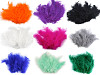 Plumas de avestruz largo 9-16 cm