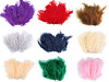 Plumas de avestruz largo 9-16 cm