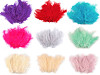 Ostrich Feathers length 9-16 cm