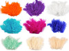 Plumas de avestruz largo 9-16 cm