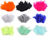 Piume di struzzo, lunghezza: 9-16 cm