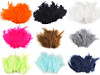 Ostrich Feathers length 9-16 cm
