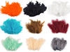 Plumas de avestruz largo 9-16 cm