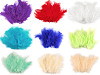 Plumes d'autruche - longueur 9-16 cm