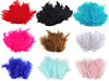 Ostrich Feathers length 9-16 cm