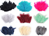 Ostrich Feathers length 9-16 cm