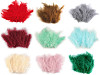 Ostrich Feathers length 9-16 cm