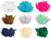 Ostrich Feathers length 9-16 cm