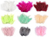 Piume di struzzo, lunghezza: 9-16 cm