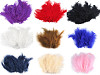 Ostrich Feathers length 9-16 cm