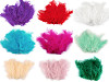 Plumas de avestruz largo 9-16 cm