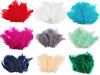 Ostrich Feathers length 9-16 cm
