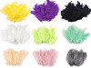 Ostrich Feathers length 9-16 cm