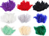 Ostrich Feathers length 9-16 cm