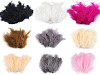 Ostrich Feathers length 9-16 cm
