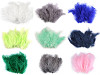 Ostrich Feathers length 9-16 cm