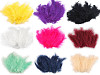 Plumes d'autruche - longueur 9-16 cm