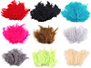 Piume di struzzo, lunghezza: 9-16 cm