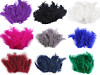 Plumes d'autruche - longueur 9-16 cm