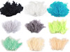 Plumes d'autruche - longueur 9-16 cm
