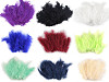 Ostrich Feathers length 9-16 cm