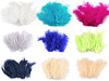 Plumas de avestruz largo 9-16 cm