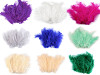 Ostrich Feathers length 9-16 cm