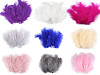 Piume di struzzo, lunghezza: 9-16 cm