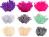 Plumes d'autruche - longueur 9-16 cm