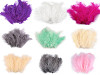 Plumes d'autruche - longueur 9-16 cm