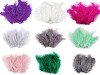 Ostrich Feathers length 9-16 cm