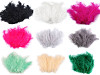 Plumas de avestruz largo 9-16 cm