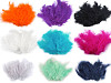 Plumas de avestruz largo 9-16 cm