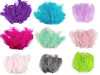 Ostrich Feathers length 9-16 cm