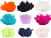 Plumes d'autruche - longueur 9-16 cm