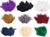 Ostrich Feathers length 9-16 cm