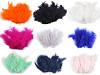 Plumas de avestruz largo 9-16 cm